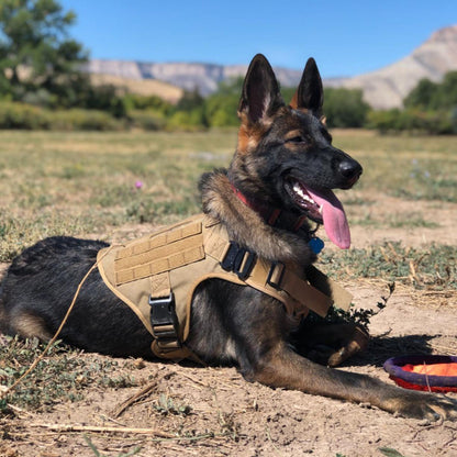 Advanced Tactical No-Pull Dog Harness