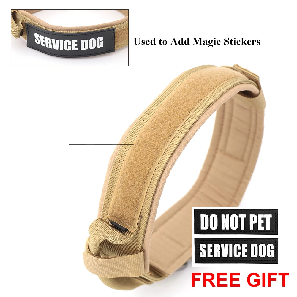 Adjustable Metal-Buckel Control Dog Collar