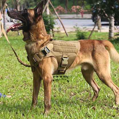 Advanced Tactical No-Pull Dog Harness