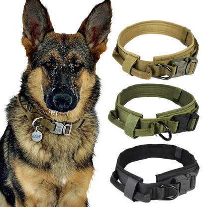 Adjustable Metal-Buckel Control Dog Collar